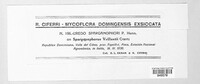 Uredo sparganophori image